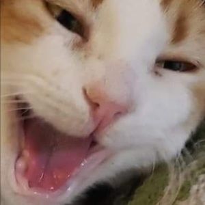 Meet your Posher, Tim